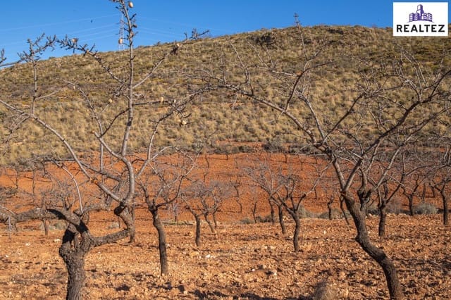 Undeveloped Land for sale in Alcolea - € 69,900 (Ref: 9338676)