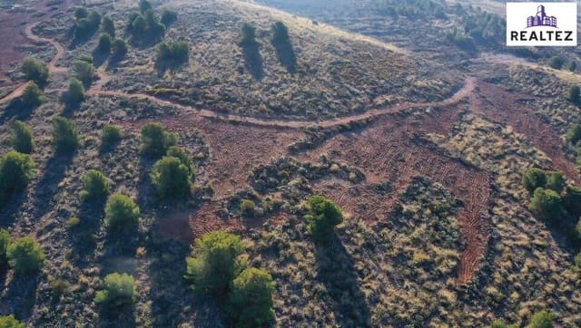 Undeveloped Land for sale in Alcolea - € 39,900 (Ref: 9338677)