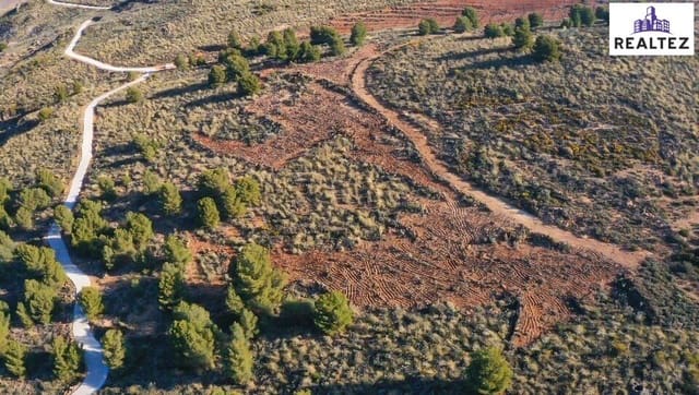 Undeveloped Land for sale in Alcolea - € 39,900 (Ref: 9338677)