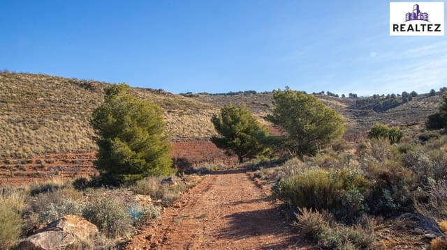 Undeveloped Land for sale in Alcolea - € 39,900 (Ref: 9338677)