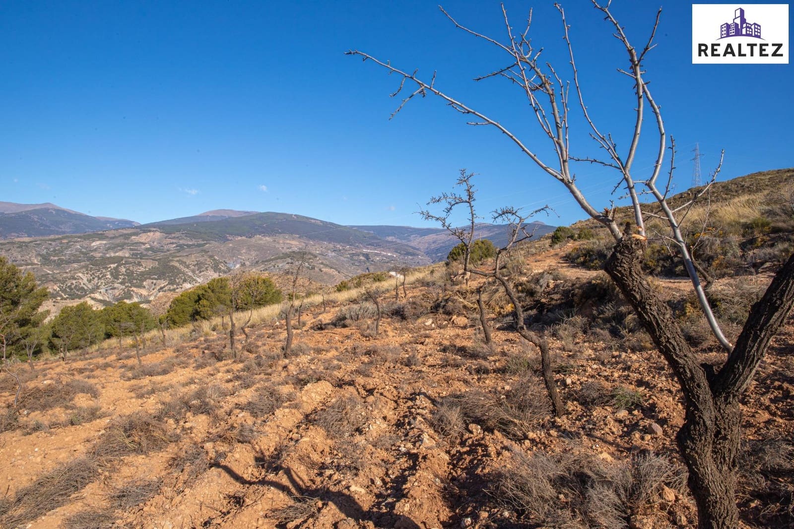 Teren niezagospodarowany na sprzedaż w Alcolea - 39 900 € (Ref: 9338677)