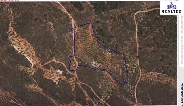 Undeveloped Land for sale in Alcolea - € 59,900 (Ref: 9338678)