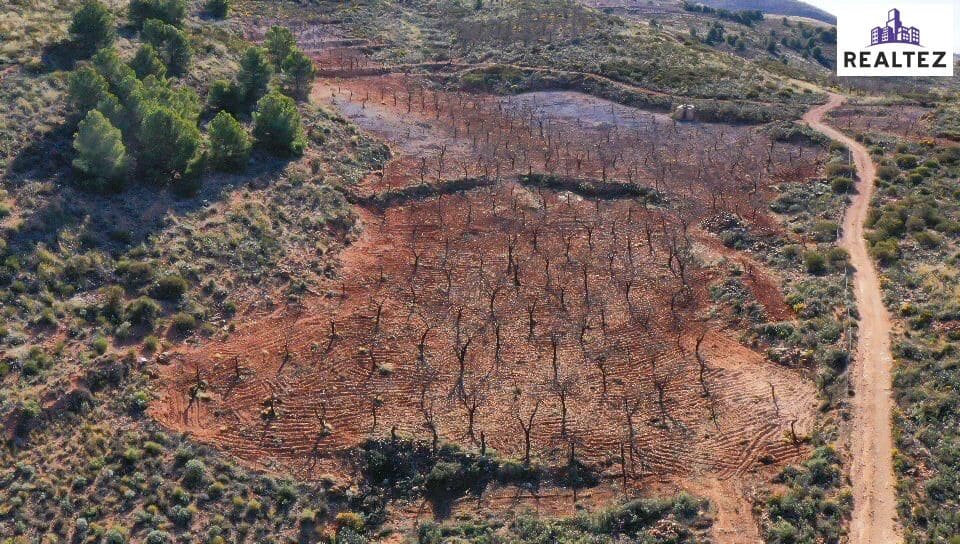 Teren niezagospodarowany na sprzedaż w Alcolea - 59 900 € (Ref: 9338678)