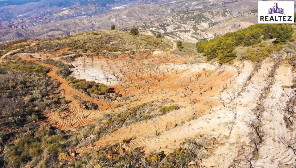 Teren niezagospodarowany na sprzedaż w Alcolea - 59 900 € (Ref: 9338678)