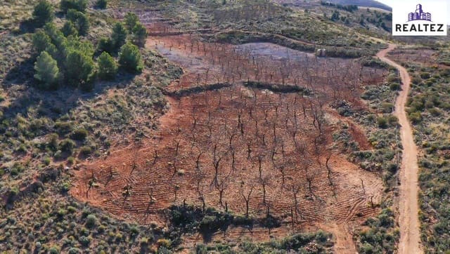 Undeveloped Land for sale in Alcolea - € 59,900 (Ref: 9338678)