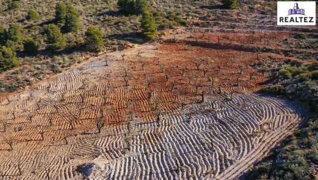 Undeveloped Land for sale in Alcolea - € 59,900 (Ref: 9338678)