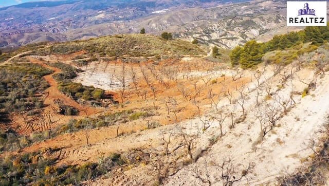 Undeveloped Land for sale in Alcolea - € 59,900 (Ref: 9338678)