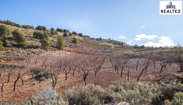 Undeveloped Land for sale in Alcolea - € 59,900 (Ref: 9338678)