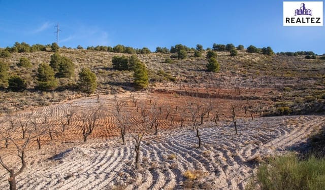 Undeveloped Land for sale in Alcolea - € 59,900 (Ref: 9338678)