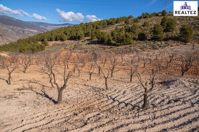 Undeveloped Land for sale in Alcolea - € 59,900 (Ref: 9338678)