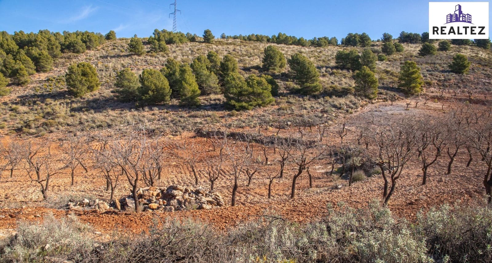 Teren niezagospodarowany na sprzedaż w Alcolea - 59 900 € (Ref: 9338678)