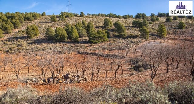 Undeveloped Land for sale in Alcolea - € 59,900 (Ref: 9338678)
