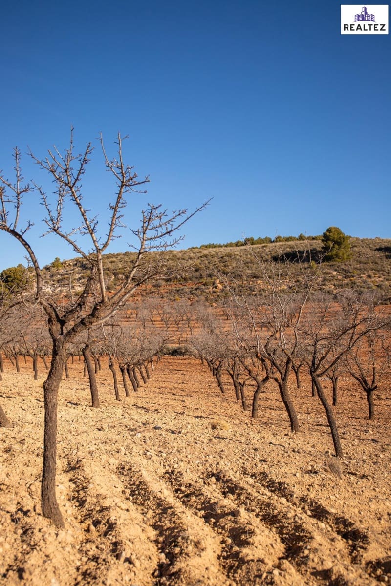 Teren niezagospodarowany na sprzedaż w Alcolea - 75 000 € (Ref: 9338679)