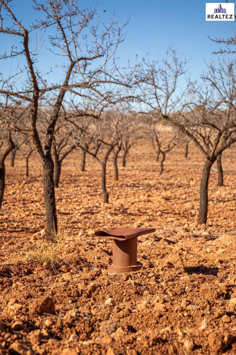 Teren niezagospodarowany na sprzedaż w Alcolea - 75 000 € (Ref: 9338679)