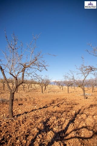 Undeveloped Land for sale in Alcolea - € 75,000 (Ref: 9338679)