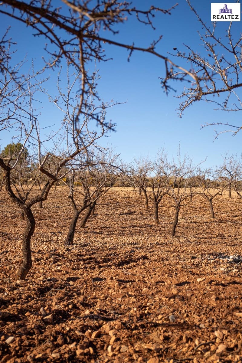 Teren niezagospodarowany na sprzedaż w Alcolea - 75 000 € (Ref: 9338679)