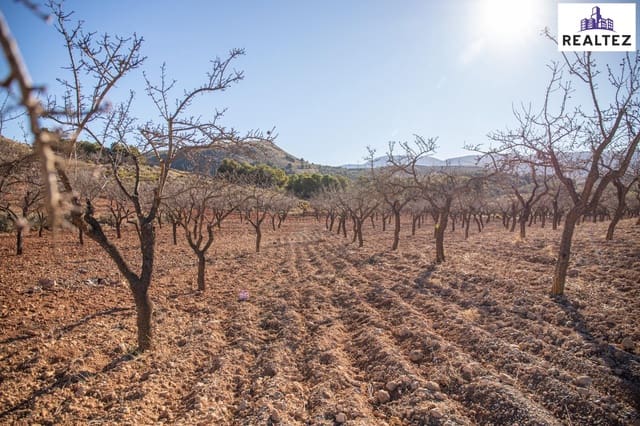 Undeveloped Land for sale in Alcolea - € 75,000 (Ref: 9338679)