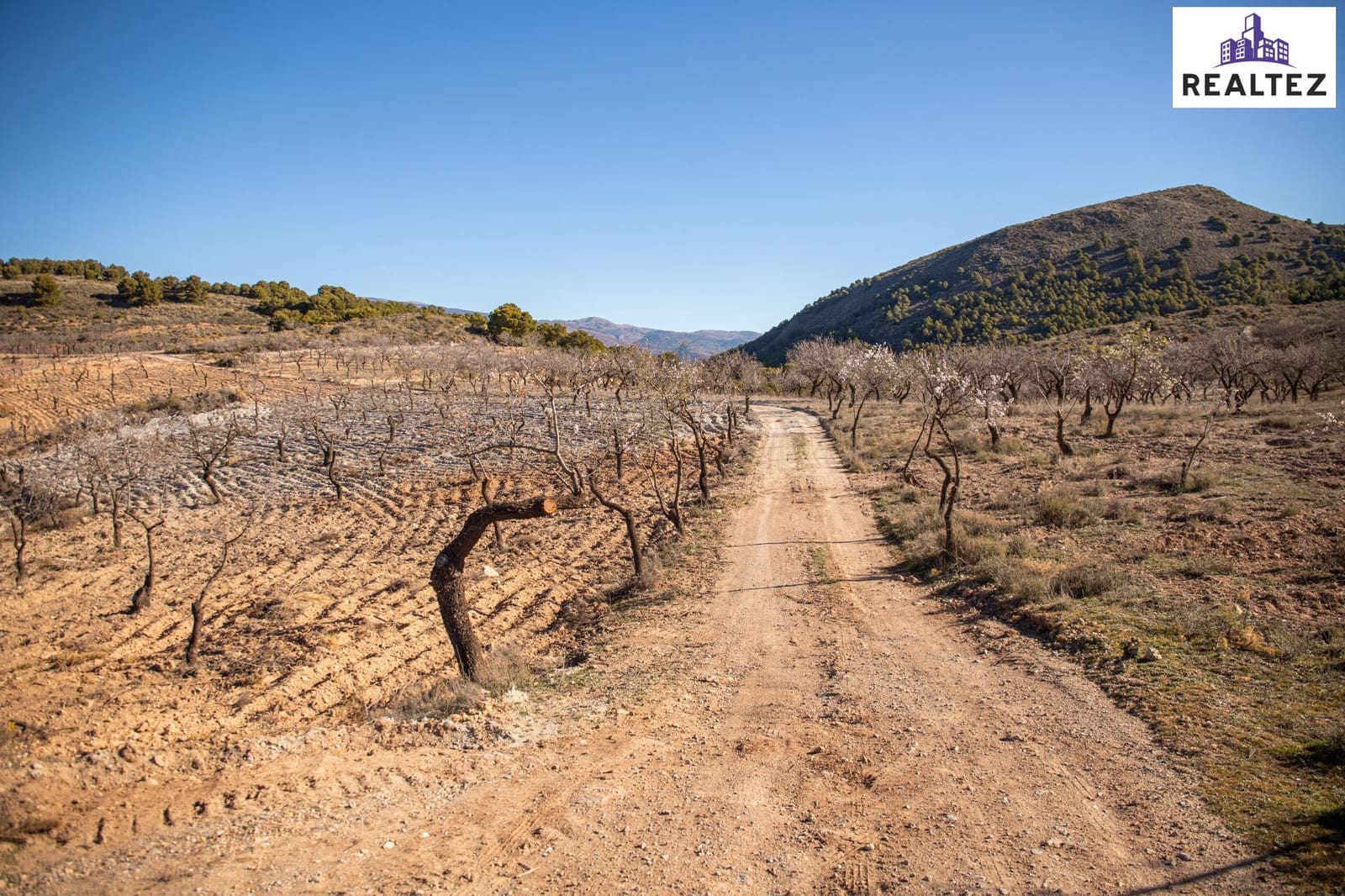 Teren niezagospodarowany na sprzedaż w Alcolea - 75 000 € (Ref: 9338679)