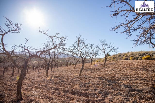 Undeveloped Land for sale in Alcolea - € 75,000 (Ref: 9338679)