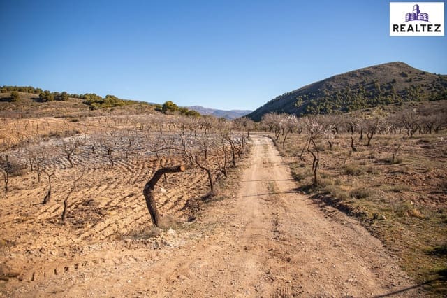 Undeveloped Land for sale in Alcolea - € 75,000 (Ref: 9338679)