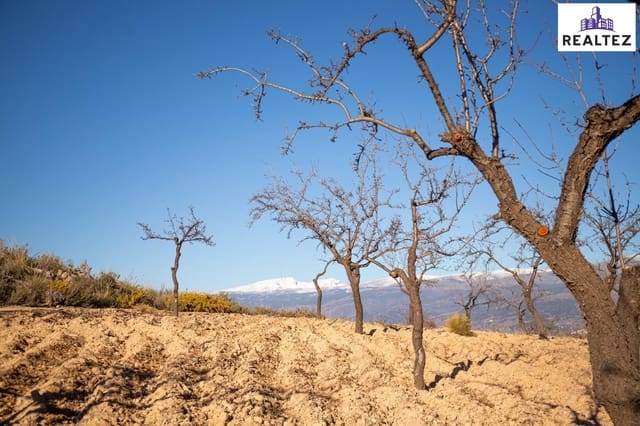 Undeveloped Land for sale in Alcolea - € 75,000 (Ref: 9338679)