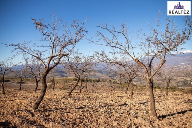 Undeveloped Land for sale in Alcolea - € 75,000 (Ref: 9338679)