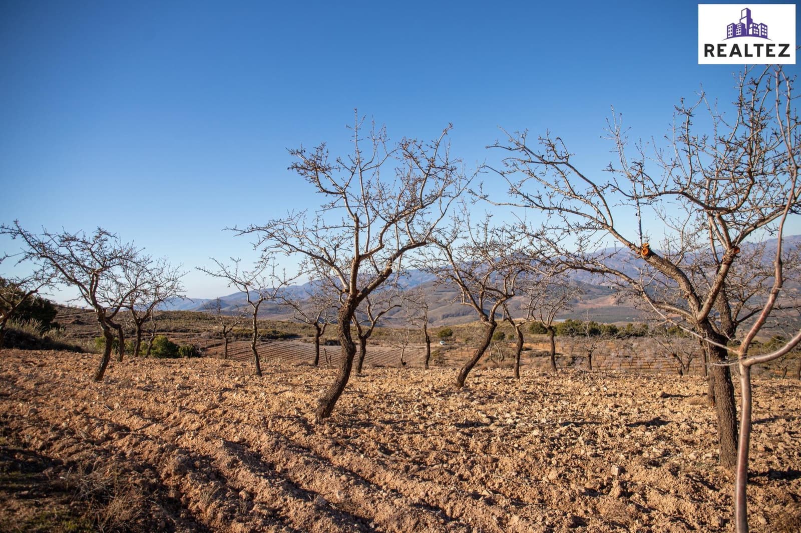 Teren niezagospodarowany na sprzedaż w Alcolea - 75 000 € (Ref: 9338679)