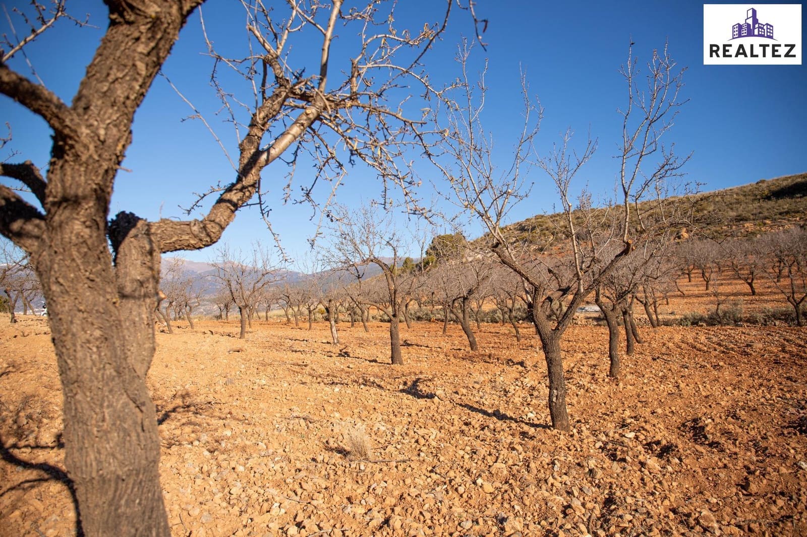 Teren niezagospodarowany na sprzedaż w Alcolea - 75 000 € (Ref: 9338679)