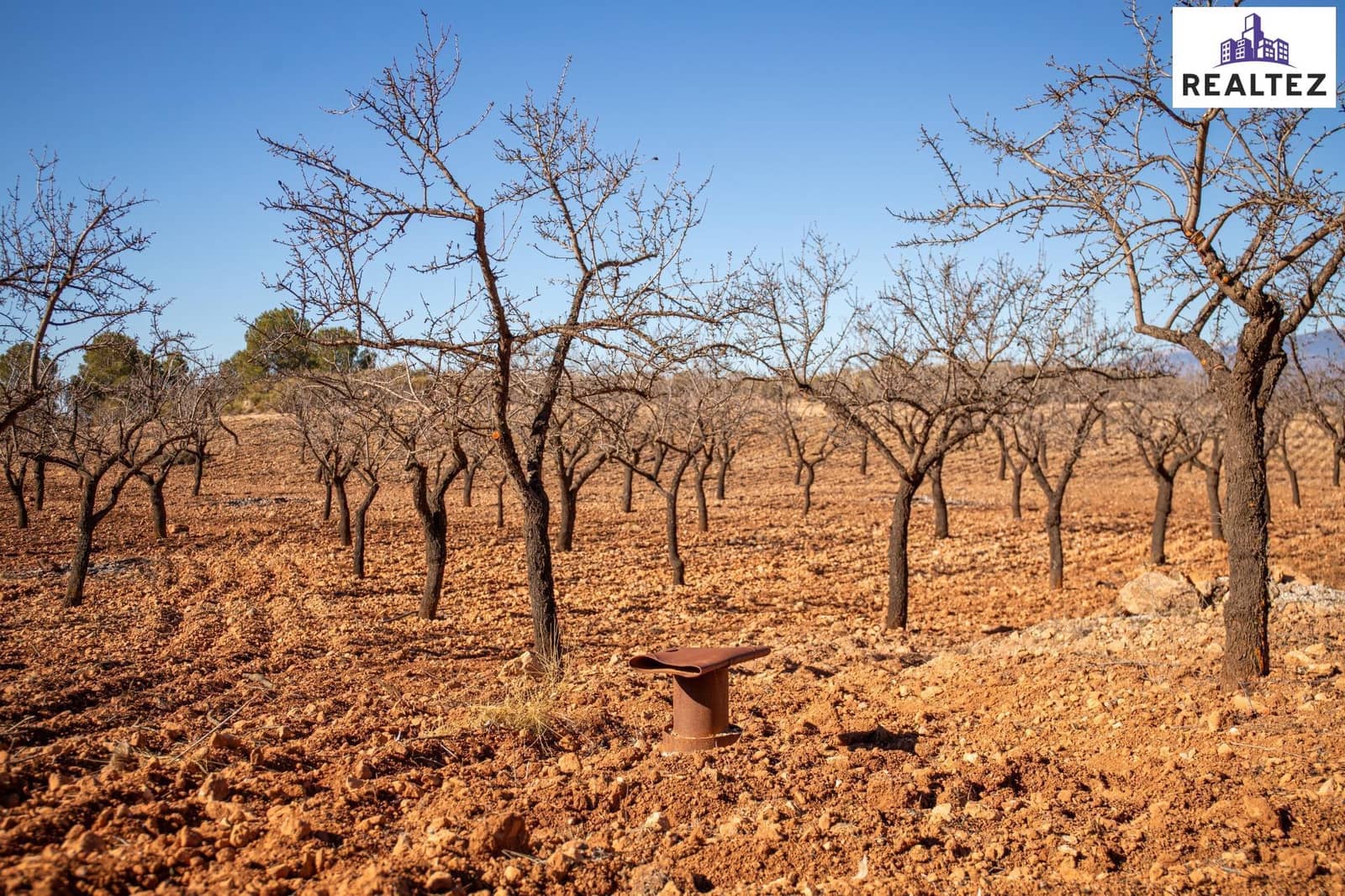 Teren niezagospodarowany na sprzedaż w Alcolea - 75 000 € (Ref: 9338679)