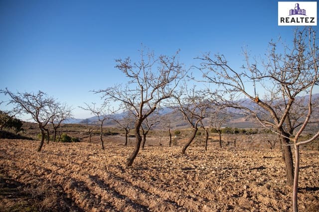 Undeveloped Land for sale in Alcolea - € 75,000 (Ref: 9338679)