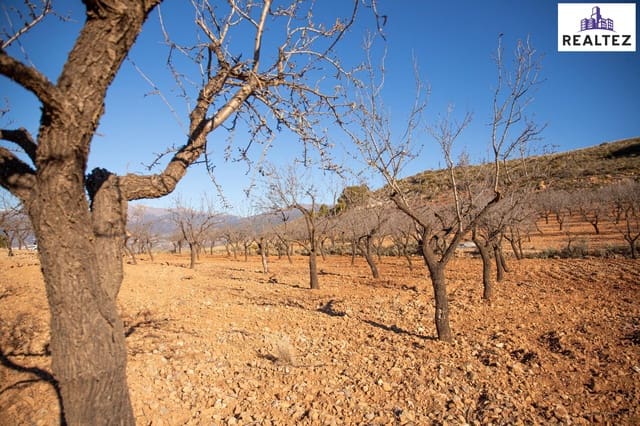 Undeveloped Land for sale in Alcolea - € 75,000 (Ref: 9338679)