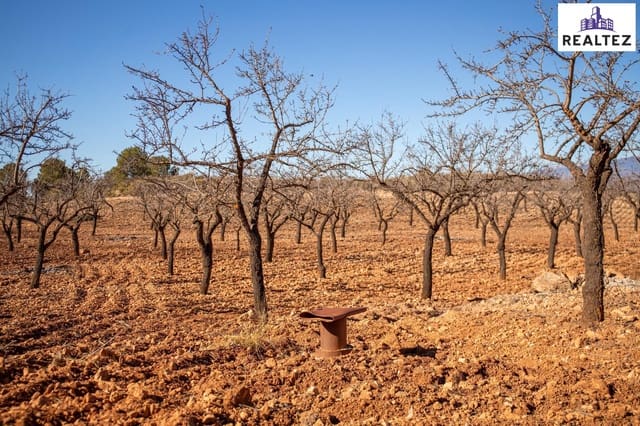 Undeveloped Land for sale in Alcolea - € 75,000 (Ref: 9338679)
