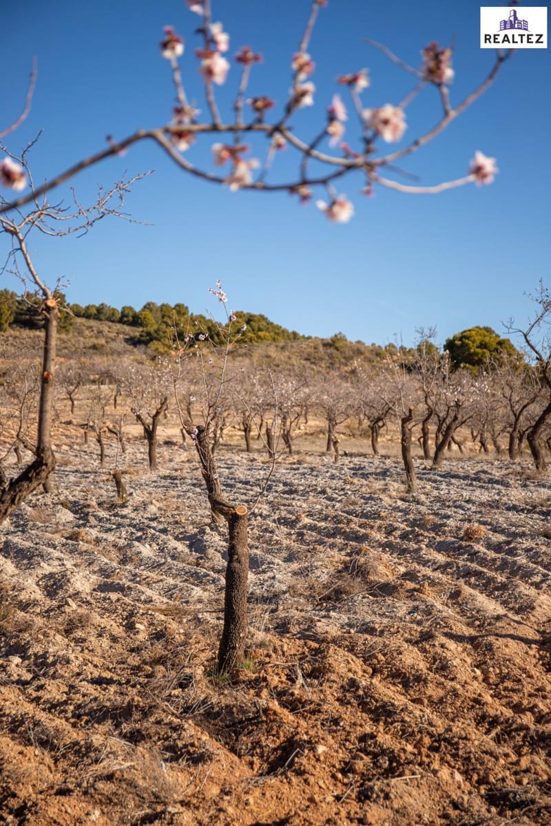 Terre non Aménagée à vendre à Alcolea - 65 000 € (Ref: 9338680)