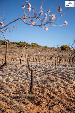 Undeveloped Land for sale in Alcolea - € 65,000 (Ref: 9338680)