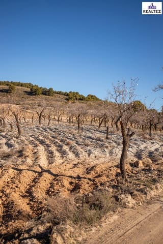 Undeveloped Land for sale in Alcolea - € 65,000 (Ref: 9338680)