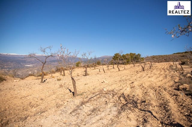 Undeveloped Land for sale in Alcolea - € 65,000 (Ref: 9338680)