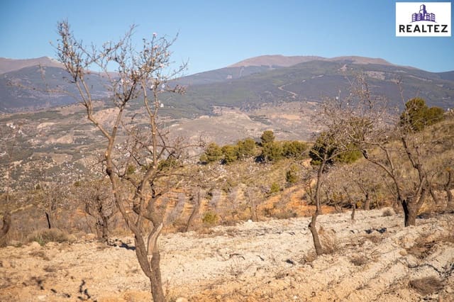 Undeveloped Land for sale in Alcolea - € 65,000 (Ref: 9338680)