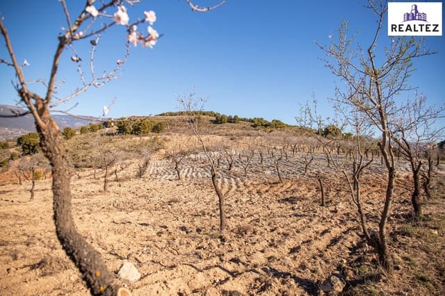 Undeveloped Land for sale in Alcolea - € 65,000 (Ref: 9338680)