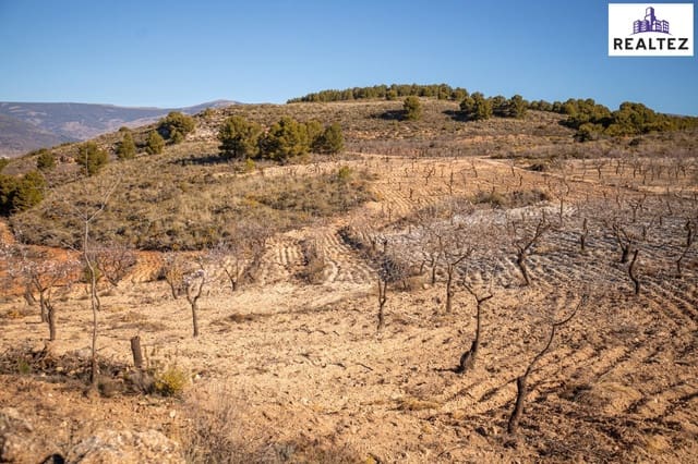 Undeveloped Land for sale in Alcolea - € 65,000 (Ref: 9338680)
