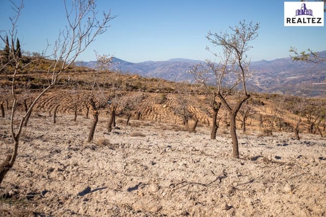 Undeveloped Land for sale in Alcolea - € 65,000 (Ref: 9338680)