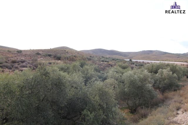 Undeveloped Land for sale in Alcolea - € 25,000 (Ref: 9338684)