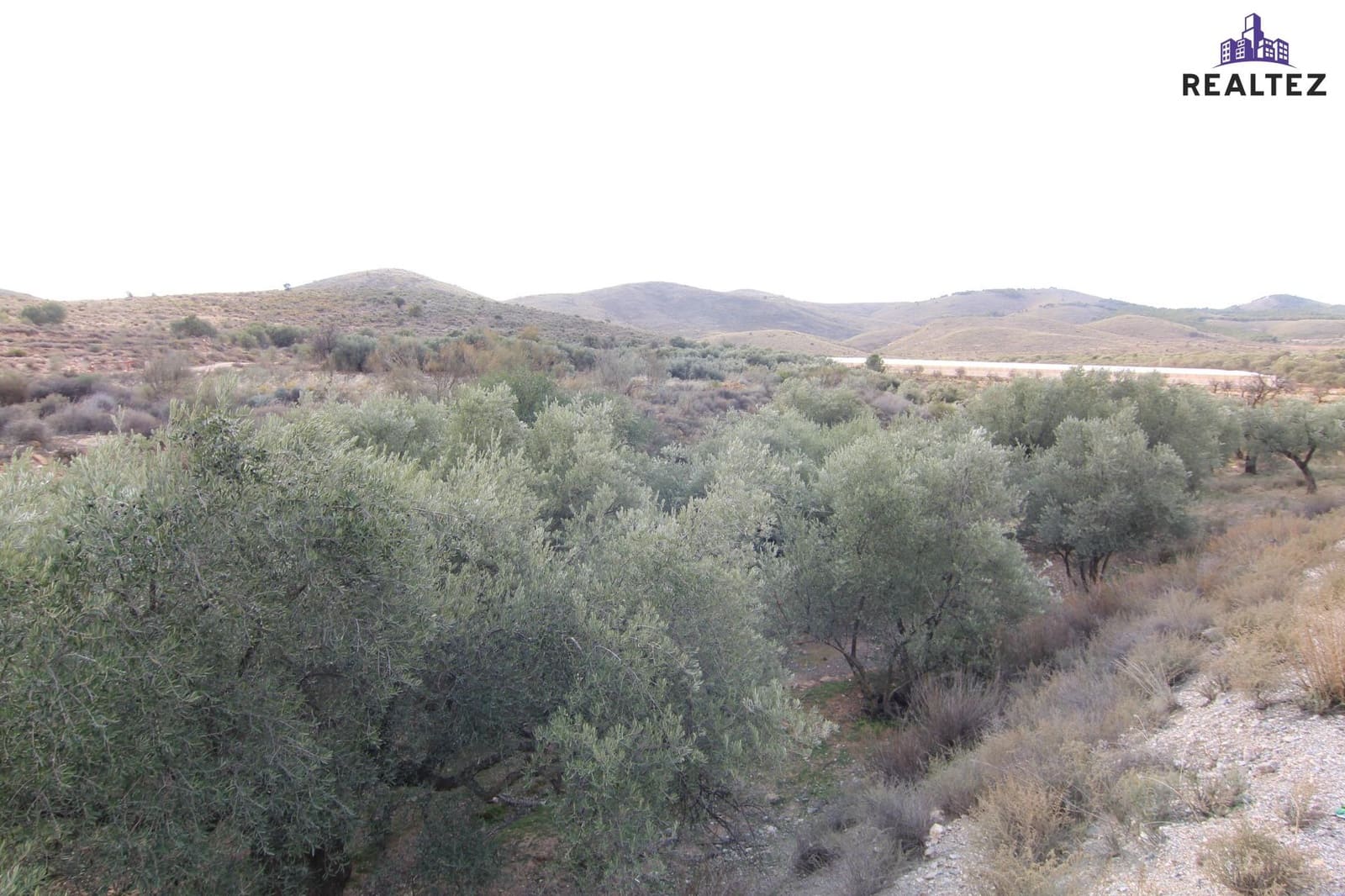 Teren niezagospodarowany na sprzedaż w Alcolea - 25 000 € (Ref: 9338684)