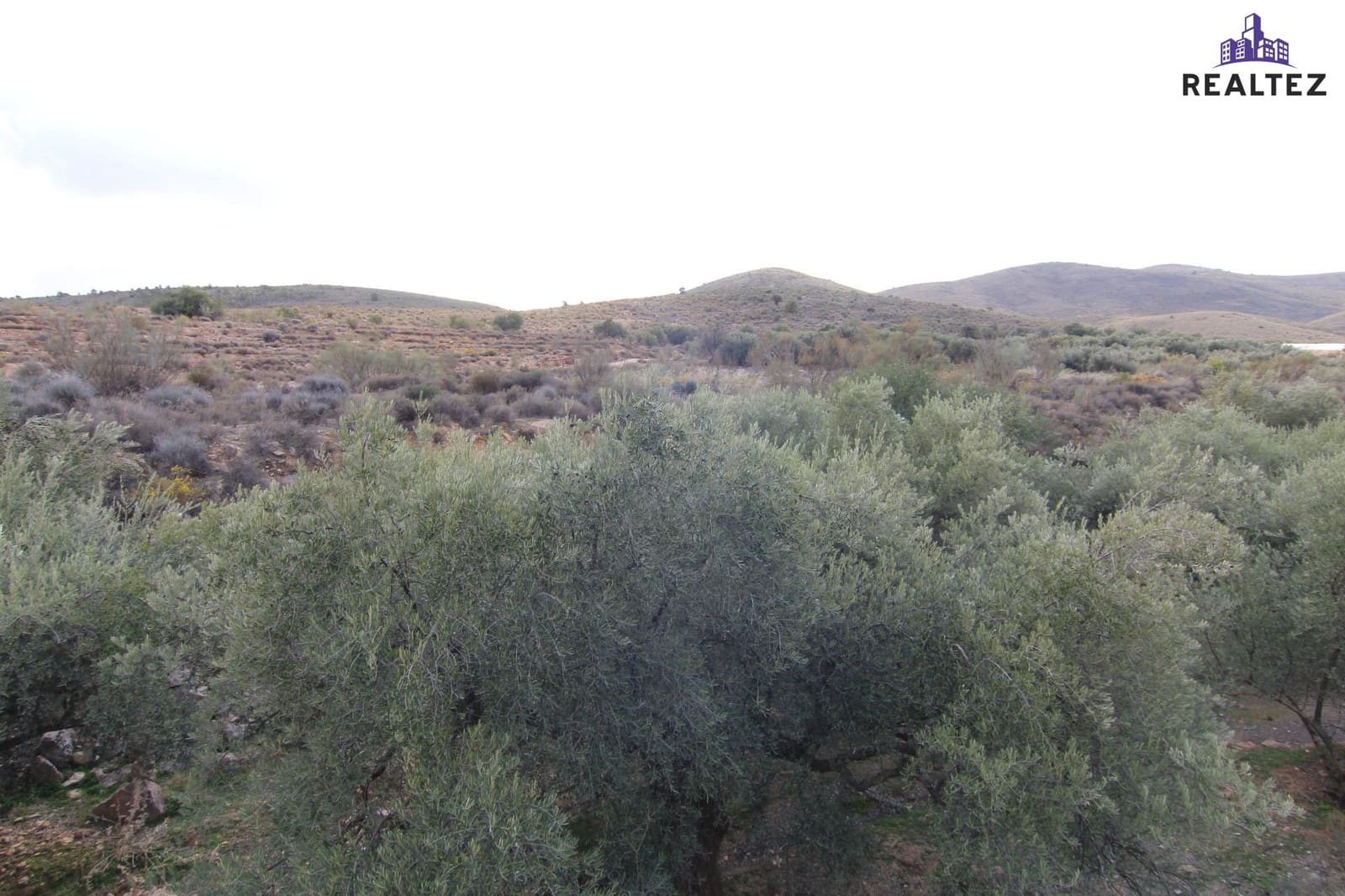Teren niezagospodarowany na sprzedaż w Alcolea - 25 000 € (Ref: 9338684)