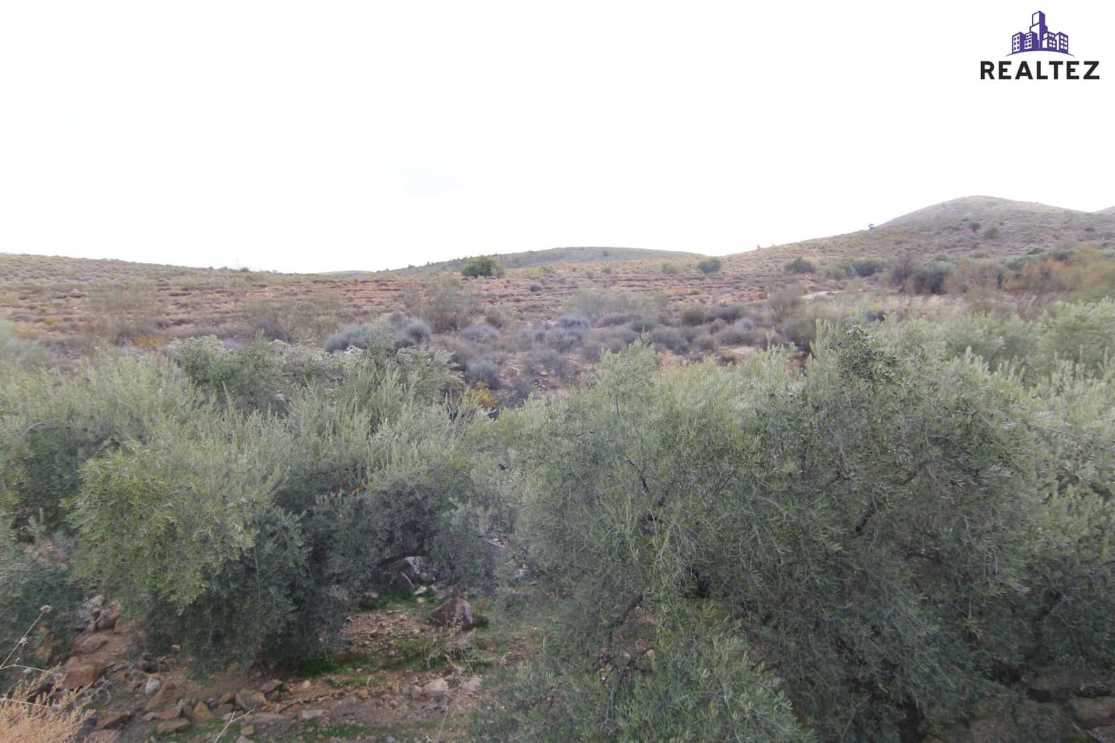 Teren niezagospodarowany na sprzedaż w Alcolea - 25 000 € (Ref: 9338684)