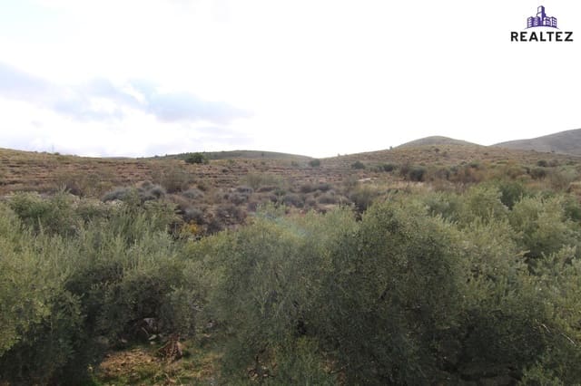 Undeveloped Land for sale in Alcolea - € 25,000 (Ref: 9338684)