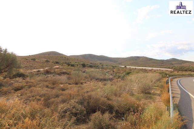 Undeveloped Land for sale in Alcolea - € 25,000 (Ref: 9338684)