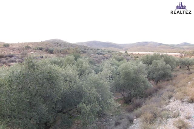 Undeveloped Land for sale in Alcolea - € 25,000 (Ref: 9338684)