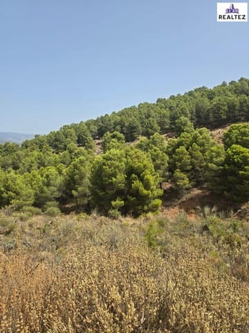 Undeveloped Land for sale in Alcolea - € 69,900 (Ref: 9338687)