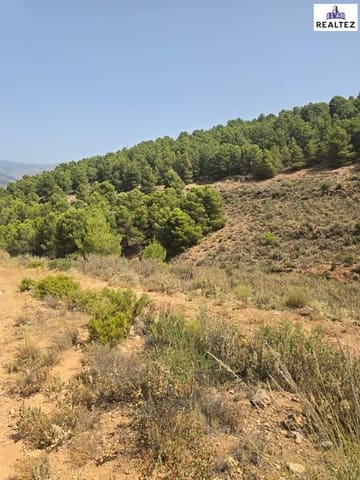 Undeveloped Land for sale in Alcolea - € 69,900 (Ref: 9338687)