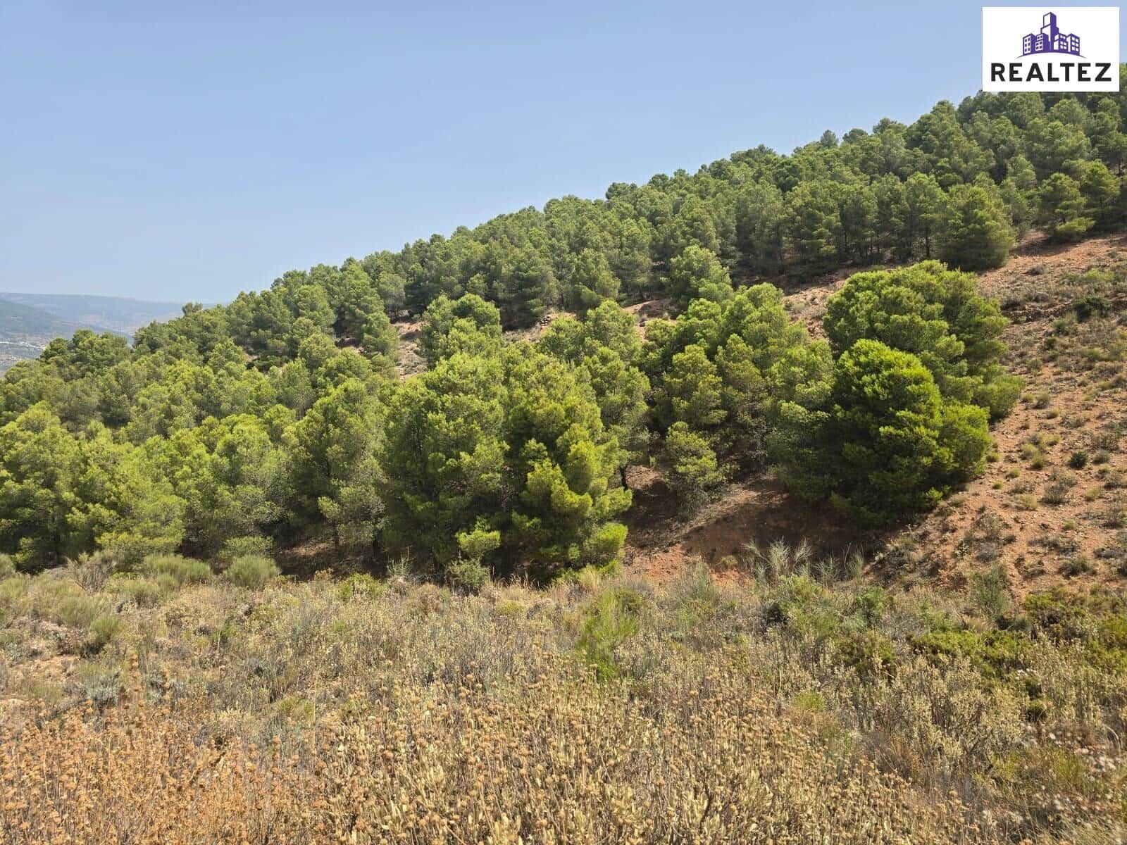 Teren niezagospodarowany na sprzedaż w Alcolea - 69 900 € (Ref: 9338687)